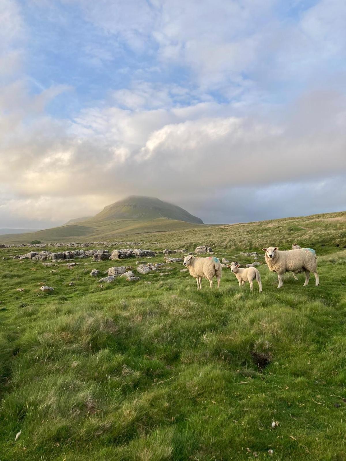 Holiday home Jubilee In The Yorkshire Dales *